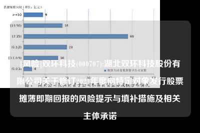[风险]双环科技(000707):湖北双环科技股份有限公司关于修订2023年度向特定对象发行股票摊薄即期回报的风险提示与填补措施及相关主体承诺