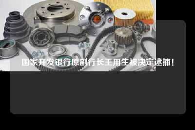 国家开发银行原副行长王用生被决定逮捕！